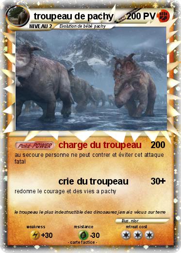 Pokemon troupeau de pachy