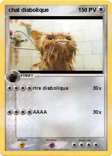 Pokemon chat diabolique