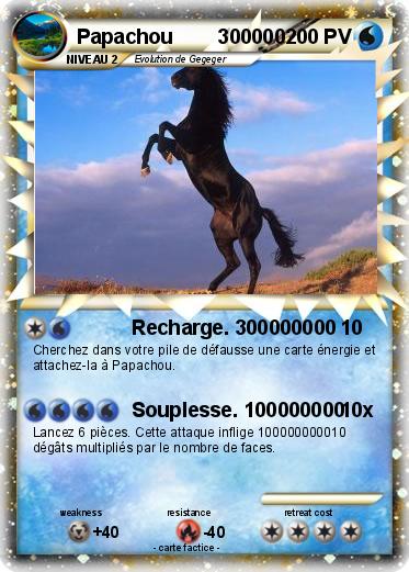 Pokemon Papachou        300000