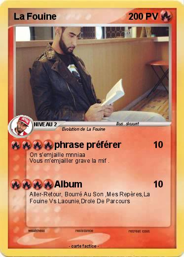 Pokemon La Fouine