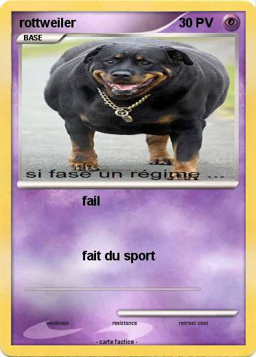 Pokemon rottweiler