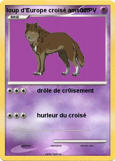 Pokemon loup d'Europe croisé amstaff
