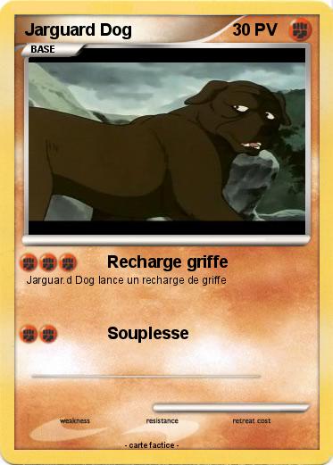 Pokemon Jarguard Dog