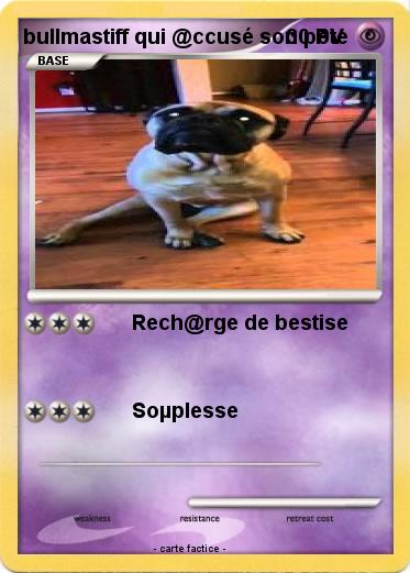 Pokemon bullmastiff qui @ccusé son pote