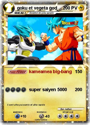 Pokemon goku et vegeta god