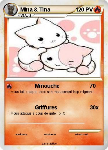 Pokemon Mina & Tina