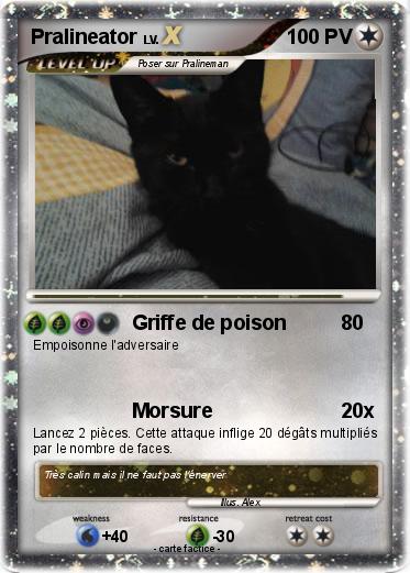 Pokemon Pralineator