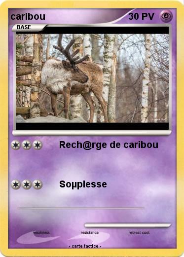 Pokemon caribou