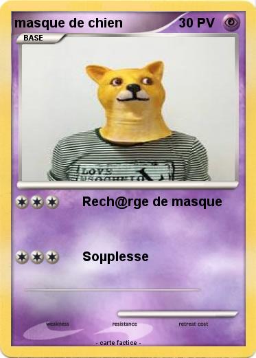 Pokemon masque de chien