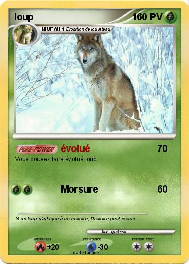 Pokemon loup