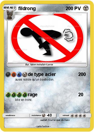 Pokemon fildrong