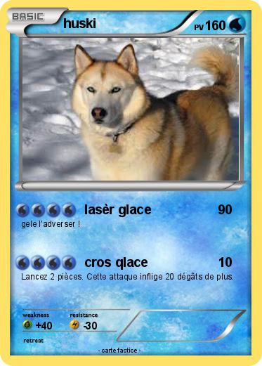 Pokemon huski