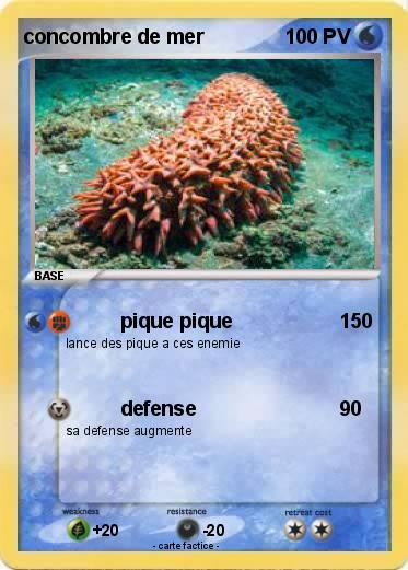 Pokemon concombre de mer