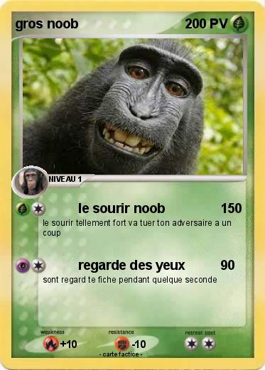 Pokemon gros noob