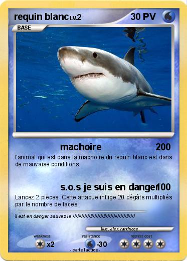 Pokemon requin blanc