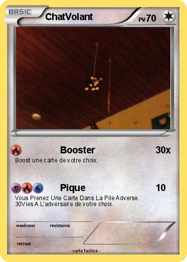 Pokemon ChatVolant