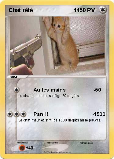 Pokemon Chat rété                          14