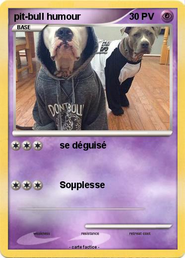 Pokemon pit-bull humour