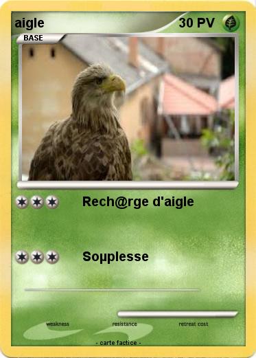 Pokemon aigle