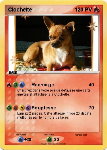 Pokemon Clochette