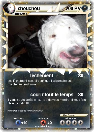 Pokemon chouchou