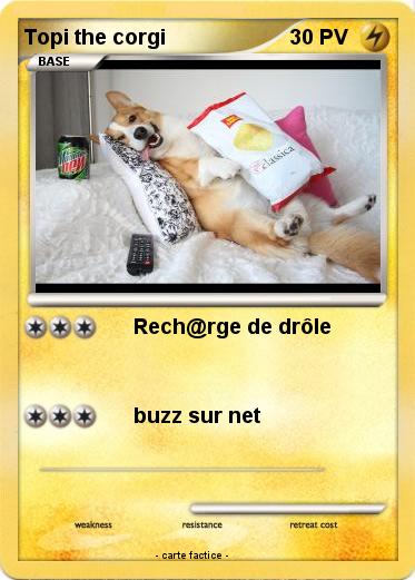 Pokemon Topi the corgi