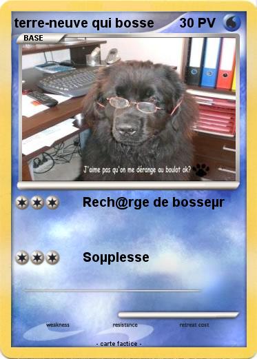 Pokemon terre-neuve qui bosse