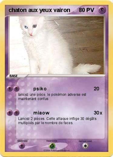 Pokemon chaton aux yeux vairon