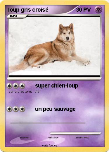 Pokemon loup gris croisé