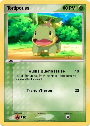 Pokemon Tortipouss