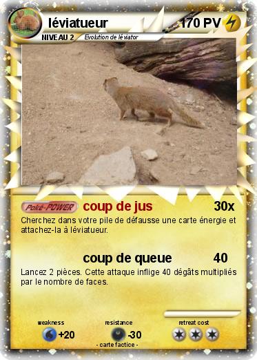 Pokemon léviatueur