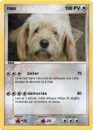 Pokemon max