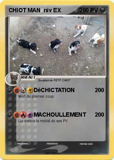 Pokemon CHIOT MAN  niv EX