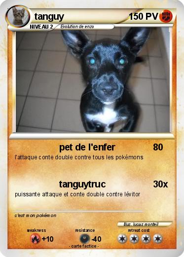 Pokemon tanguy