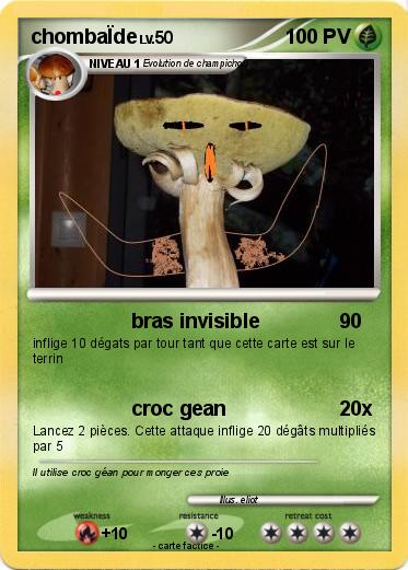 Pokemon chombaÏde