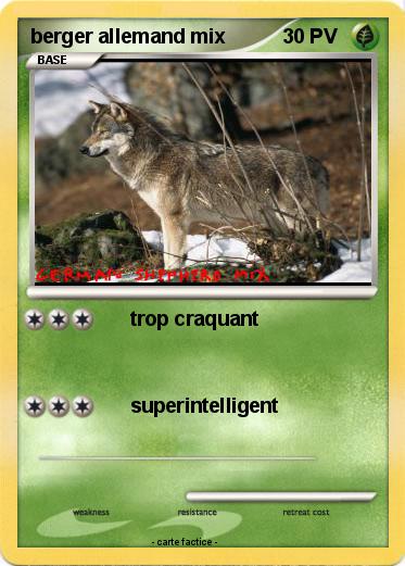 Pokemon berger allemand mix