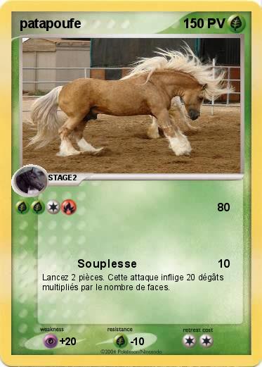 Pokemon patapoufe