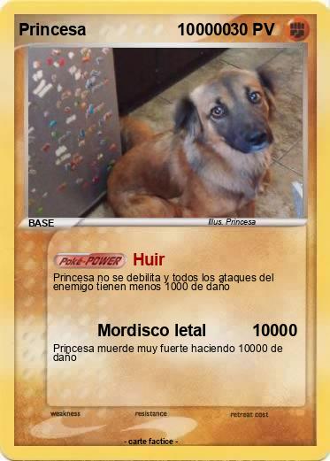 Pokemon Princesa                    100000