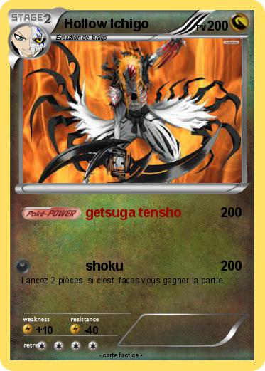 Pokemon Hollow Ichigo