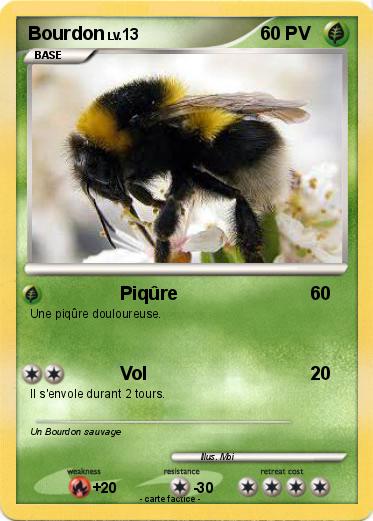 Pokemon Bourdon