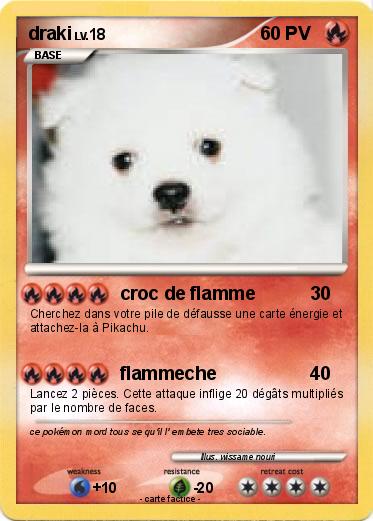 Pokemon draki