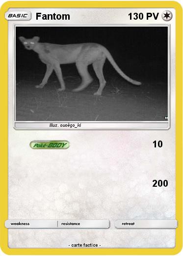 Pokemon Fantom