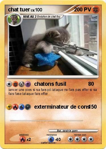 Pokemon chat tuer