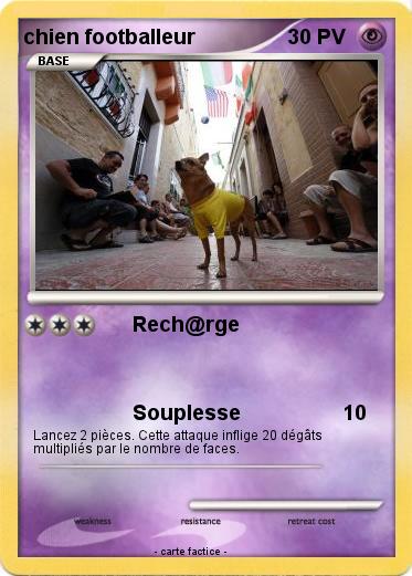 Pokemon chien footballeur