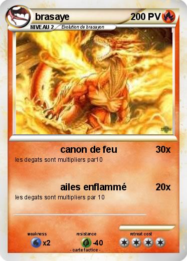 Pokemon brasaye
