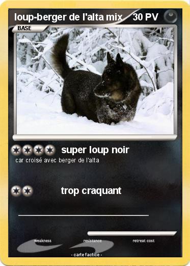 Pokemon loup-berger de l'alta mix