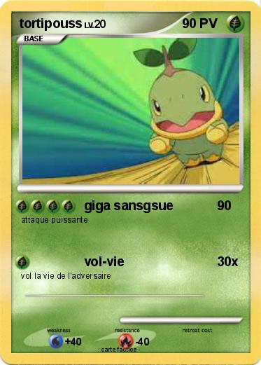 Pokemon tortipouss