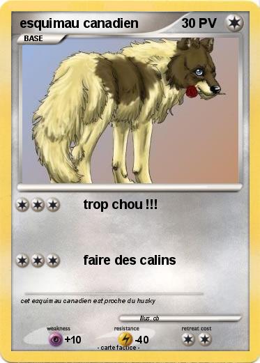 Pokemon esquimau canadien