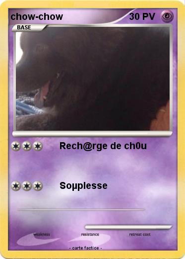 Pokemon chow-chow