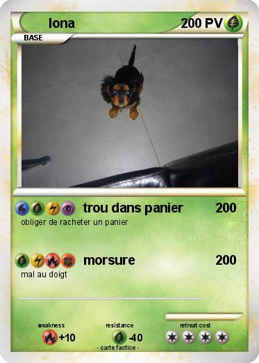 Pokemon Iona